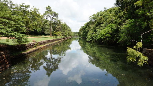 Scenic view of lake amidst trees against sky