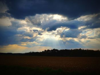 Scenic view of field against sky during sunset