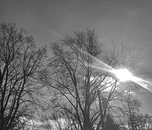 Low angle view of bare trees against sky