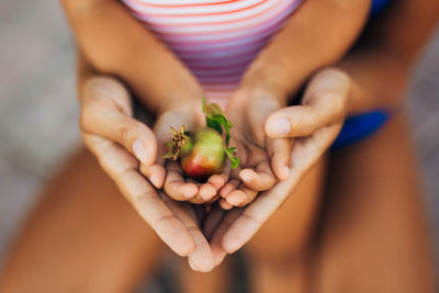 Midsection of woman holding tomato