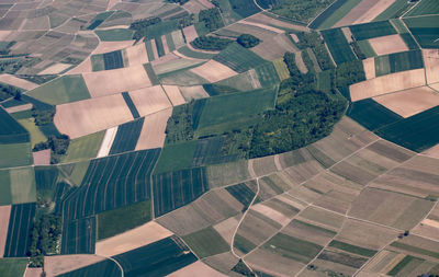 High angle view of agricultural field