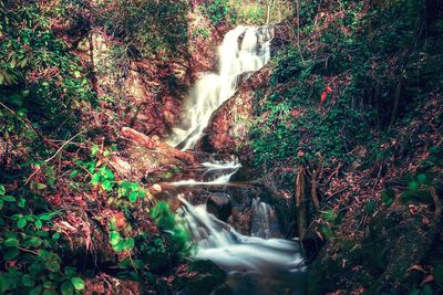 Waterfall in forest