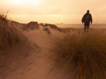 Rear view of man walking on dunes against sky during sunset