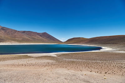 Scenic view of beach against blue sky