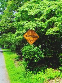 View of trees in the garden