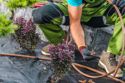 Low section of man gardening