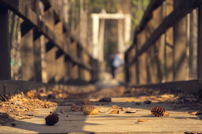 Hiking wooden bridge in national park