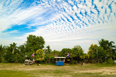 People in park