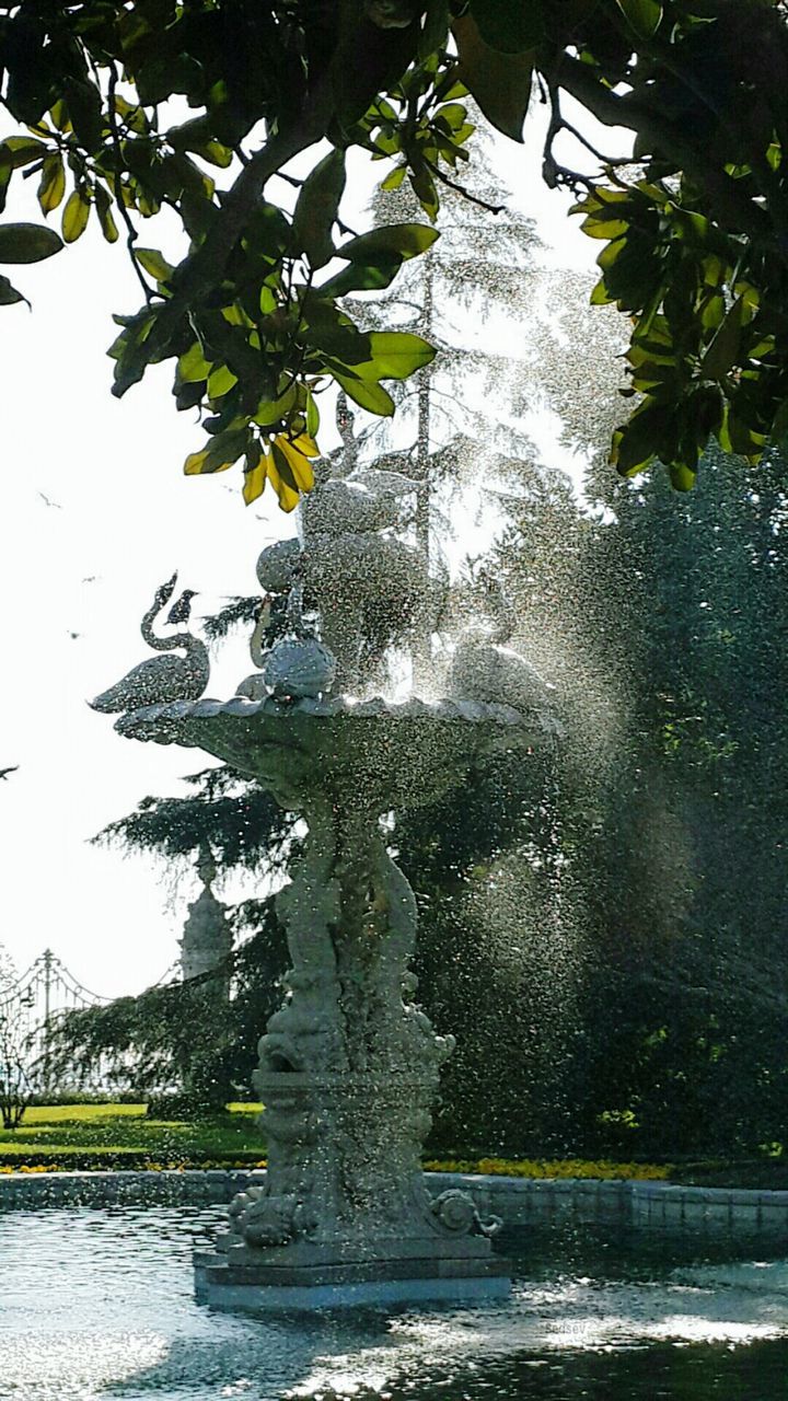 water, tree, splashing, no people, nature, day, outdoors