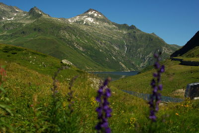 Scenic view of grassy field and mountains against sky