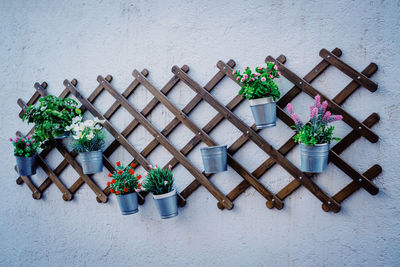 High angle view of potted plants on table against wall