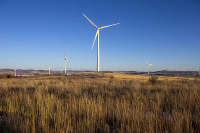 Wind turbines in field against blue sky