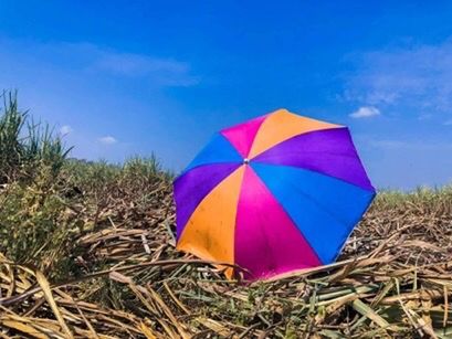 CLOSE-UP OF MULTI COLORED UMBRELLA ON FIELD