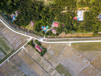 Aerial view of houses and trees in town