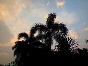 Low angle view of silhouette palm trees against sky