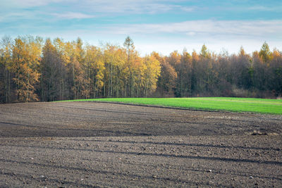 Plowed hilly fields, autumn forest and sky, focus in the foreground