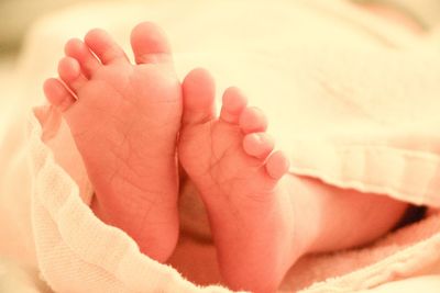 Low section of baby feet