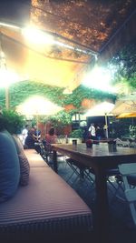 Sun shining through trees