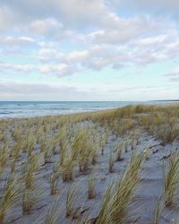 Scenic view of beach against sky