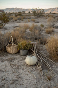 Wicker basket on land against sky