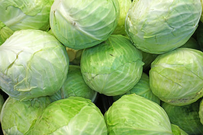 Close up stack of fresh green cabbage