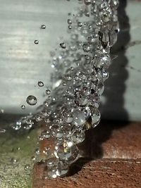 Close-up of water drops on leaf