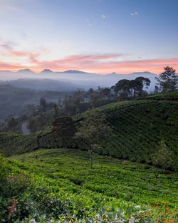 Scenic view of field against sky during sunset