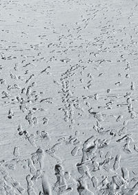 High angle view of footprints on wet sand