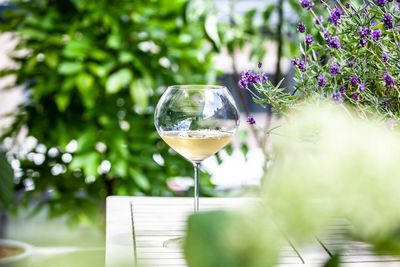 Close-up of drink on table