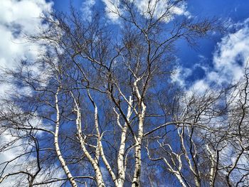 Low angle view of bare tree against cloudy sky