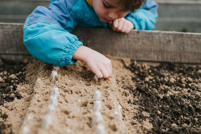 Spring planting seeding farm garden. little kid boy farmer gardener plants sow vegetable seeds soil