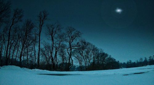 Bare trees on snow covered landscape at night