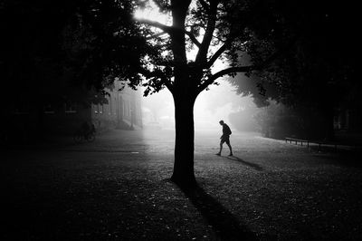 Silhouette man walking on tree