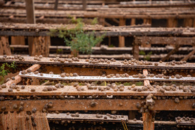 Close-up of rusty metal