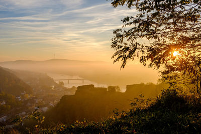 Trees and cityscape against sky during sunset