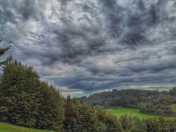 Trees on field against cloudy sky