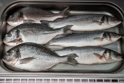 High angle view of fish on table