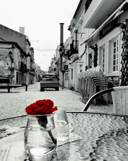 Red flower in water