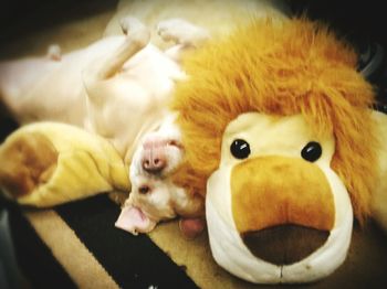 Close-up of stuffed toy on bed