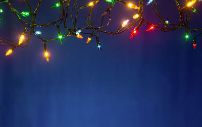 Low angle view of illuminated lights hanging on tree at night