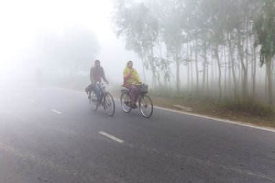 People riding bicycle on road