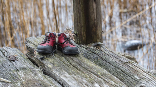 A pair of red children's shoes out on an old wooden porch by the sea in the swedish archipelago.