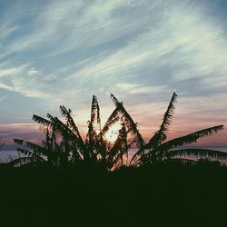 Scenic view of landscape against sky at sunset