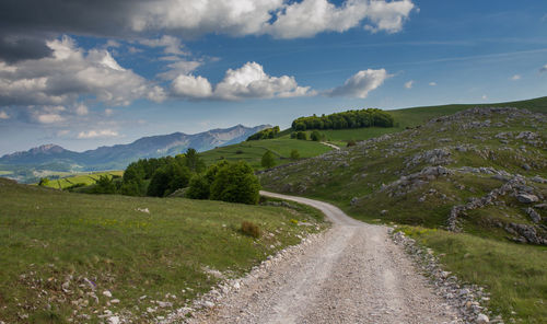 Road amidst green landscape against sky