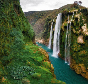 Scenic view of waterfall