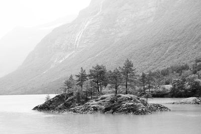 Scenic view of rocks against trees on mountain