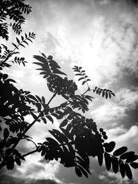 Low angle view of trees against cloudy sky