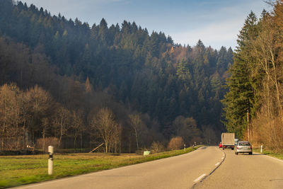 Road amidst trees and plants against sky