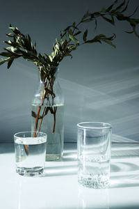 A glass vase with a green plant and two glasses of water on a white table.