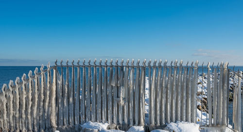 Ice-covered stair railing on the baltic sea coast in winter